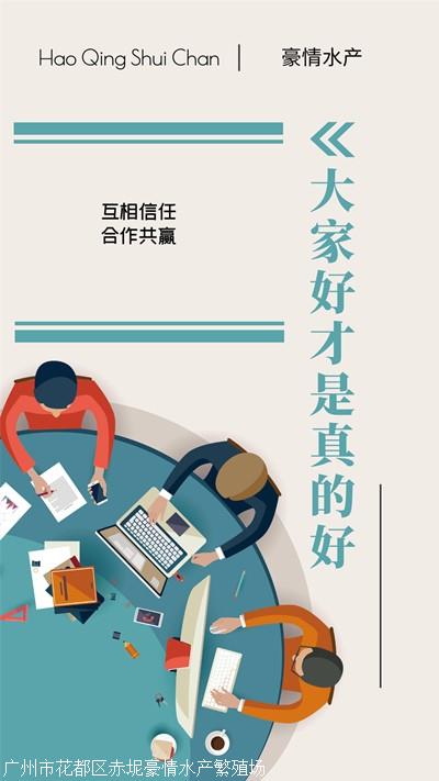 陽江泥鰍魚 苗市行情與垂釣服務的多元商機