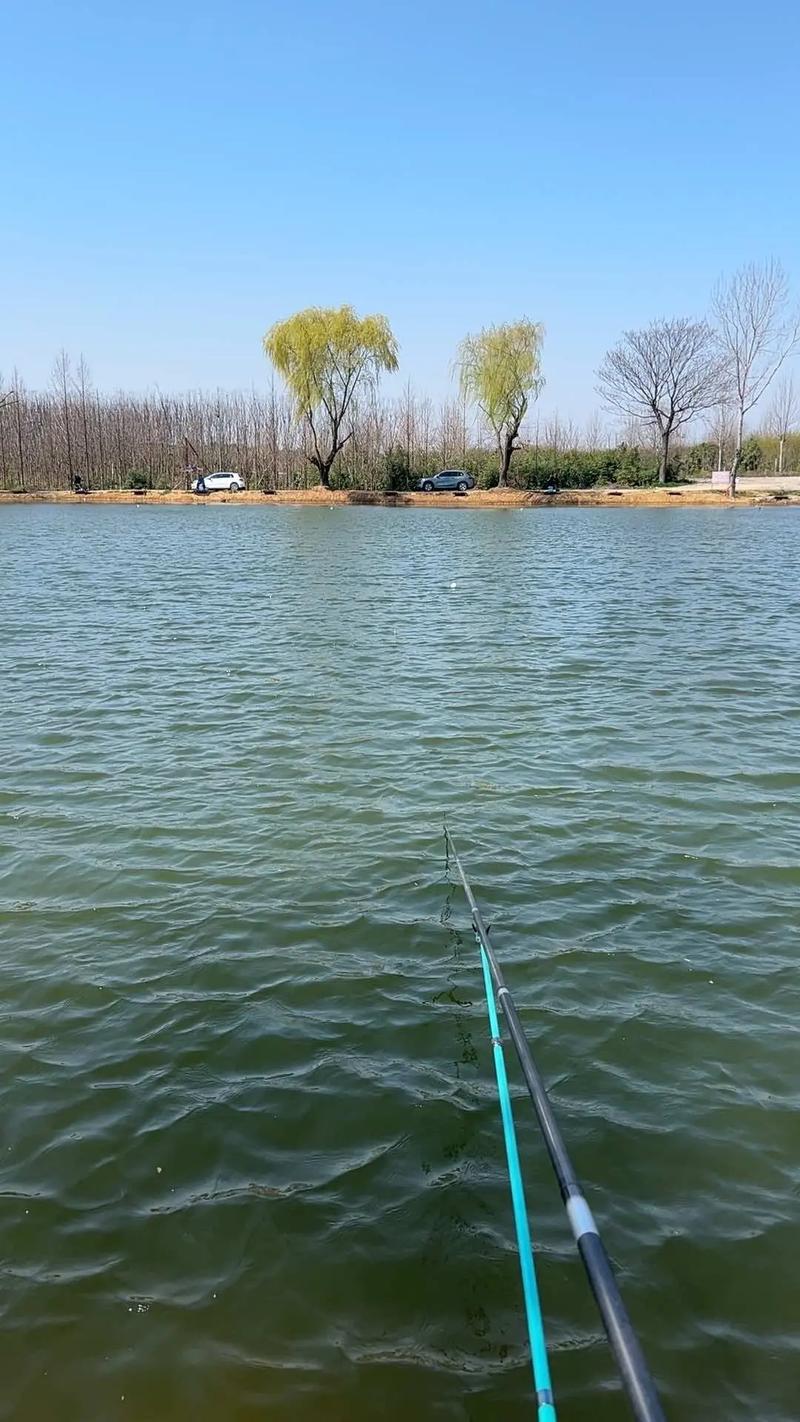 慢時光休閑釣場｜青魚塘熱銷團購 120元暢釣5小時，不容錯過的垂釣慢生活